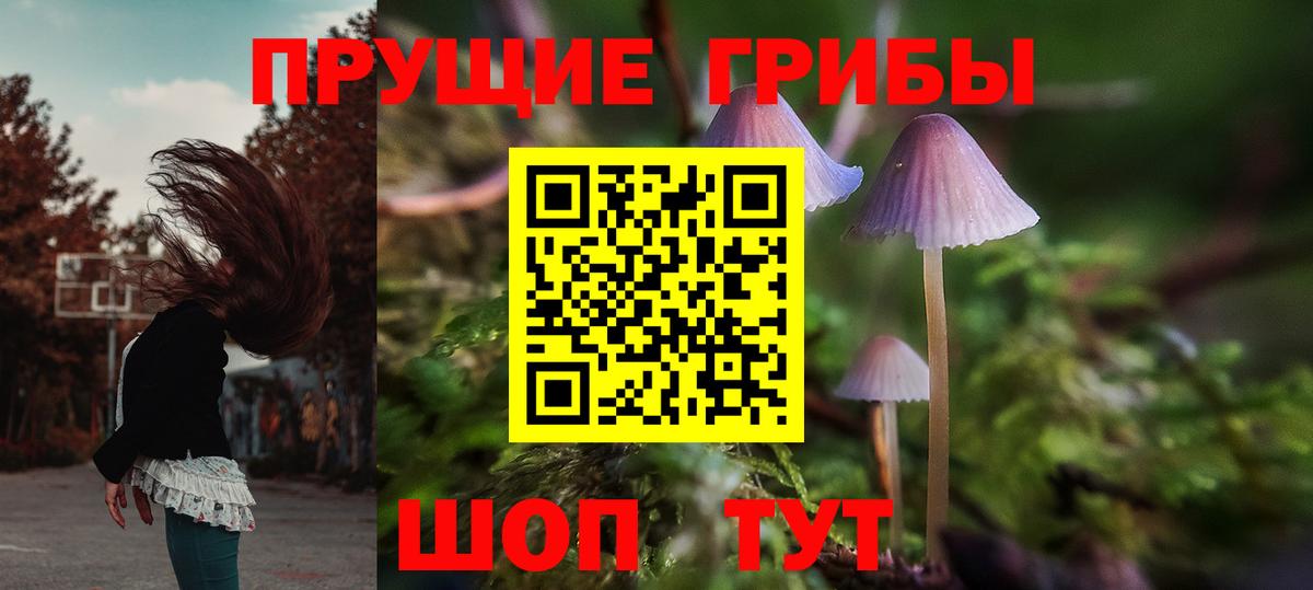 Галлюциногенные грибы мухоморы  Вход с VPN  Сибай 